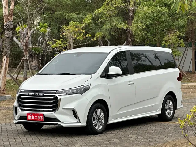 Фотография автомобиля — Maxus G20