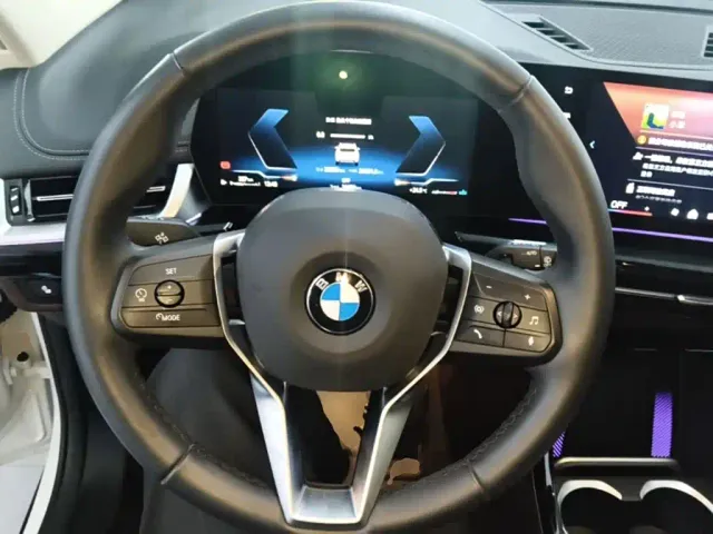 BMW X1 — Фото автомобиля 10