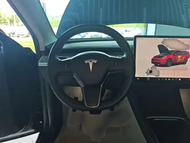 Tesla Model Y — Фото автомобиля 10