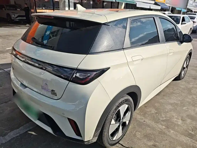 BYD Dolphin — Фото автомобиля 6