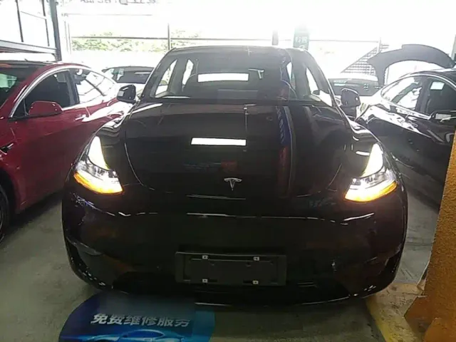Tesla Model Y — Фото автомобиля 2