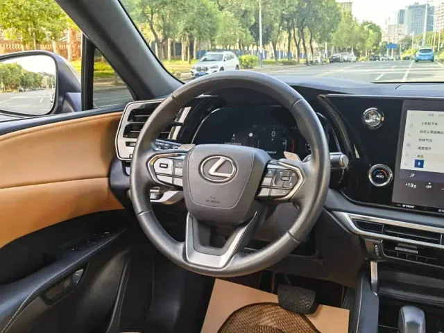 Lexus RX — Фото автомобиля 12