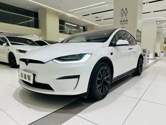 Tesla Model X — Фото автомобиля 15