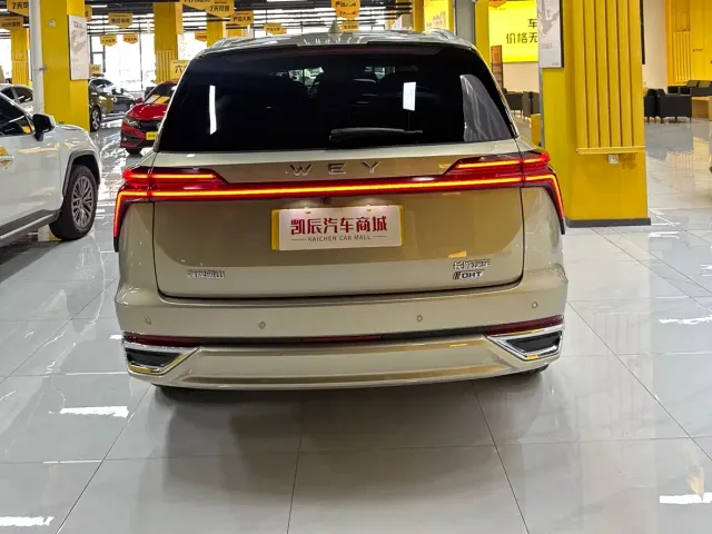Wey Lanshan — Фото автомобиля 5