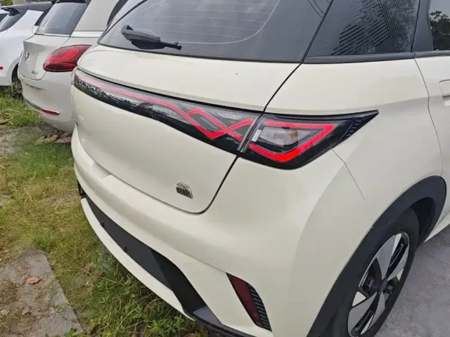 BYD Dolphin 2023 420km Fashion Edition — Фото автомобиля 7