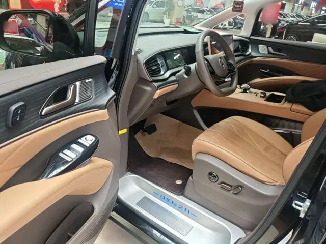 Denza D9 — Фото автомобиля 15