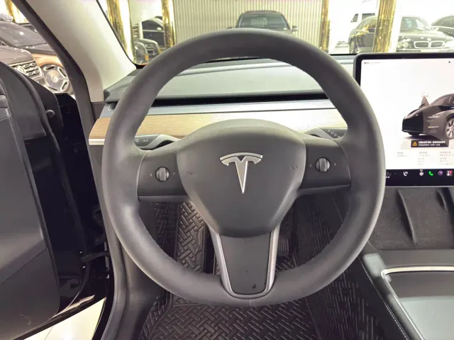 Tesla Model Y — Фото автомобиля 15