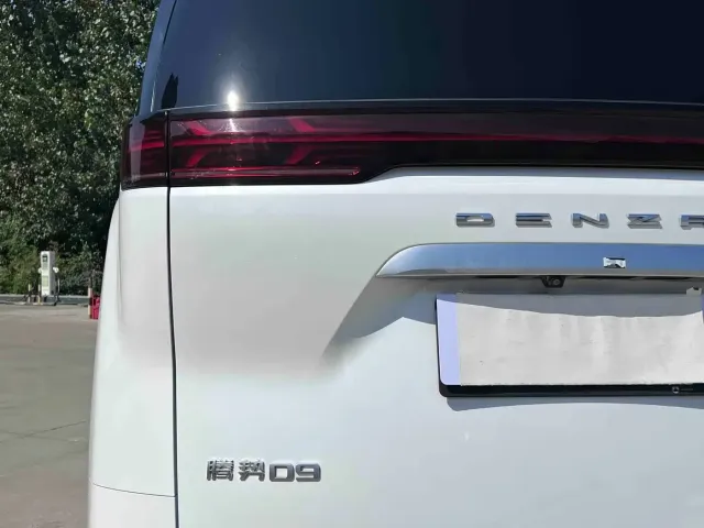 Denza Denza D9 2022 DM-i 1040 Premium — Фото автомобиля 12