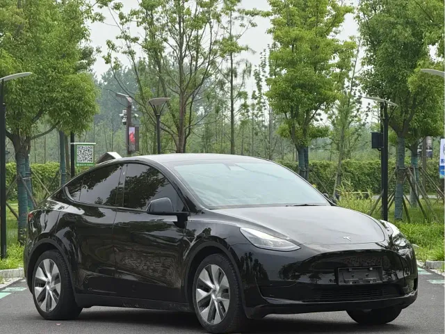 Tesla Model Y — Фото автомобиля 3