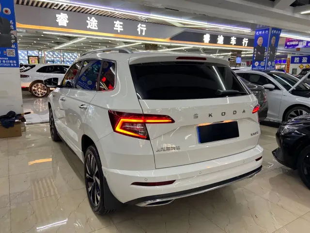 Skoda Karoq — Фото автомобиля 6