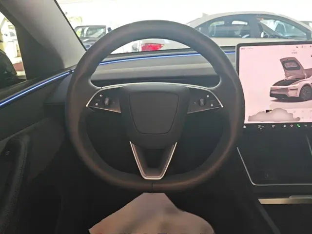 Tesla Model Y — Фото автомобиля 10