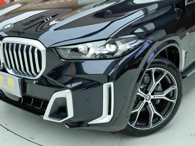 BMW X5 — Фото автомобиля 19