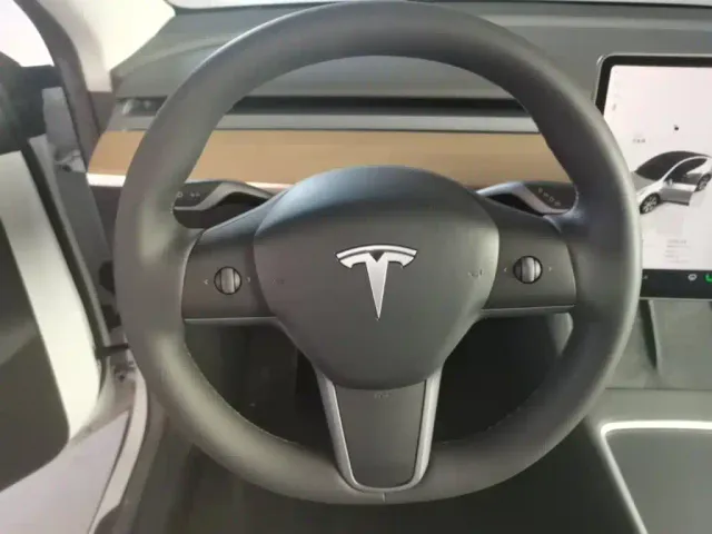 Tesla Model Y — Фото автомобиля 10