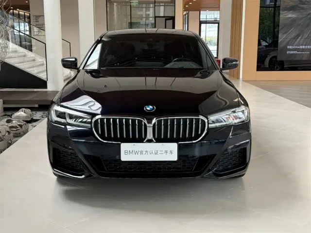 BMW 5 Series — Фото автомобиля 10