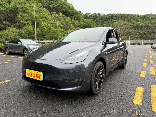 Tesla Model Y — Фото автомобиля 2