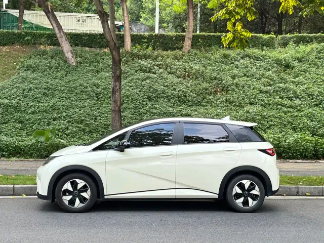 BYD Dolphin — Фото автомобиля 3