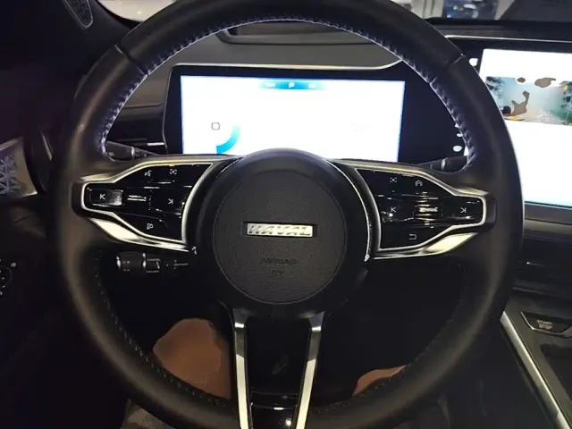 Haval Shenshou — Фото автомобиля 10