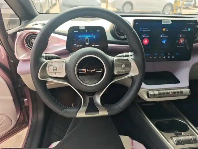 BYD Dolphin — Фото автомобиля 6