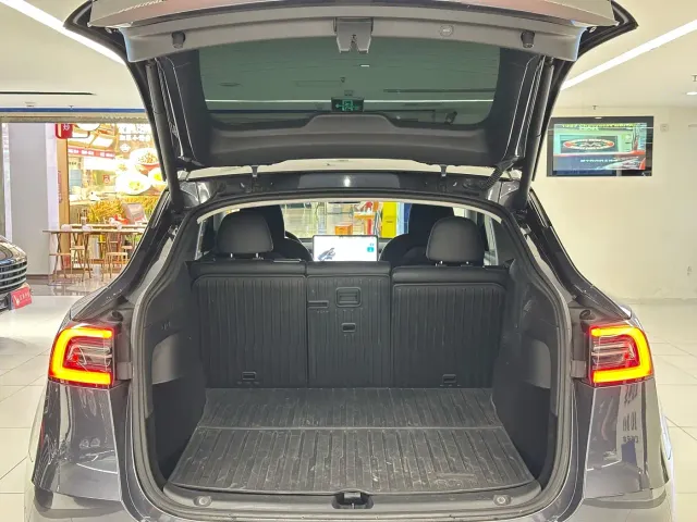 Tesla Model Y — Фото автомобиля 8