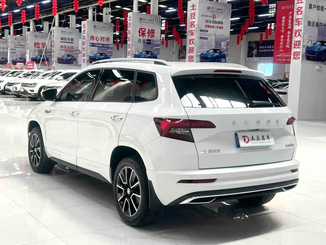 Skoda Karoq — Фото автомобиля 6