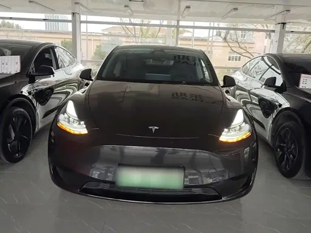 Tesla Model Y — Фото автомобиля 2