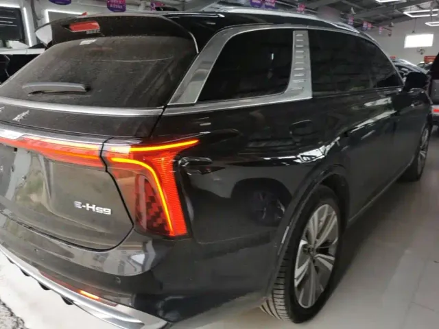 Hongqi E-HS9 — Фото автомобиля 7