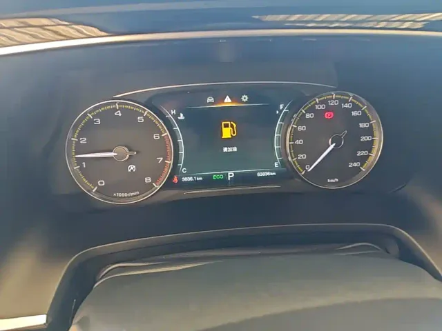 GAC Trumpchi M8 — Фото автомобиля 11