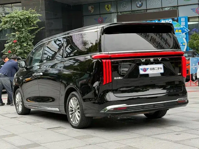 Wey Alpine — Фото автомобиля 4
