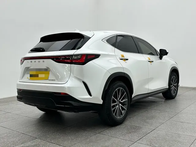 Lexus NX — Фото автомобиля 6