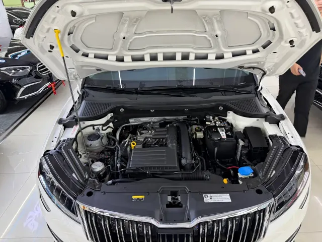 Skoda Karoq — Фото автомобиля 19