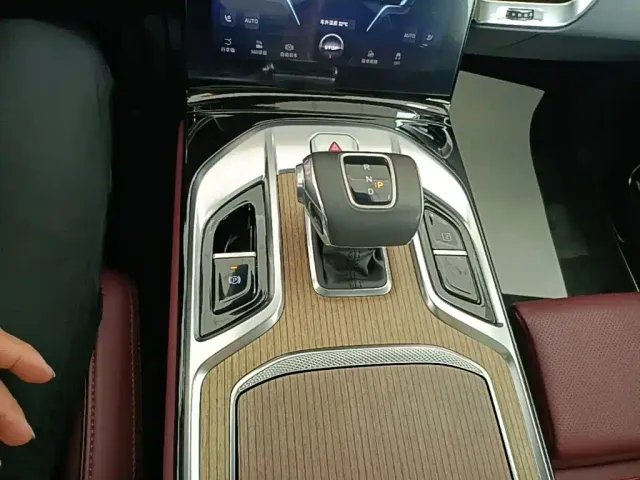 Hongqi E-HS9 — Фото автомобиля 13