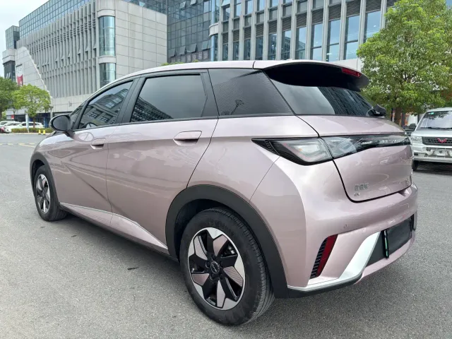 BYD Dolphin — Фото автомобиля 23