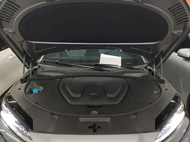 BYD Song PLUS — Фото автомобиля 19