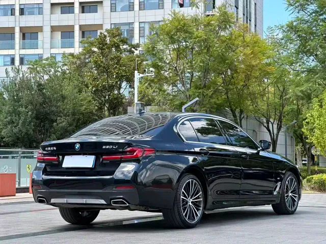 BMW 5 Series — Фото автомобиля 9