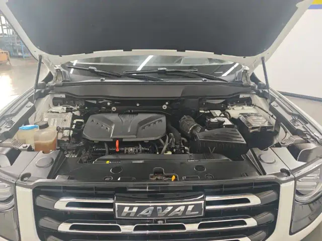 Haval Big Dog — Фото автомобиля 10