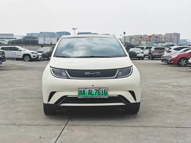 BYD Dolphin — Фото автомобиля 2