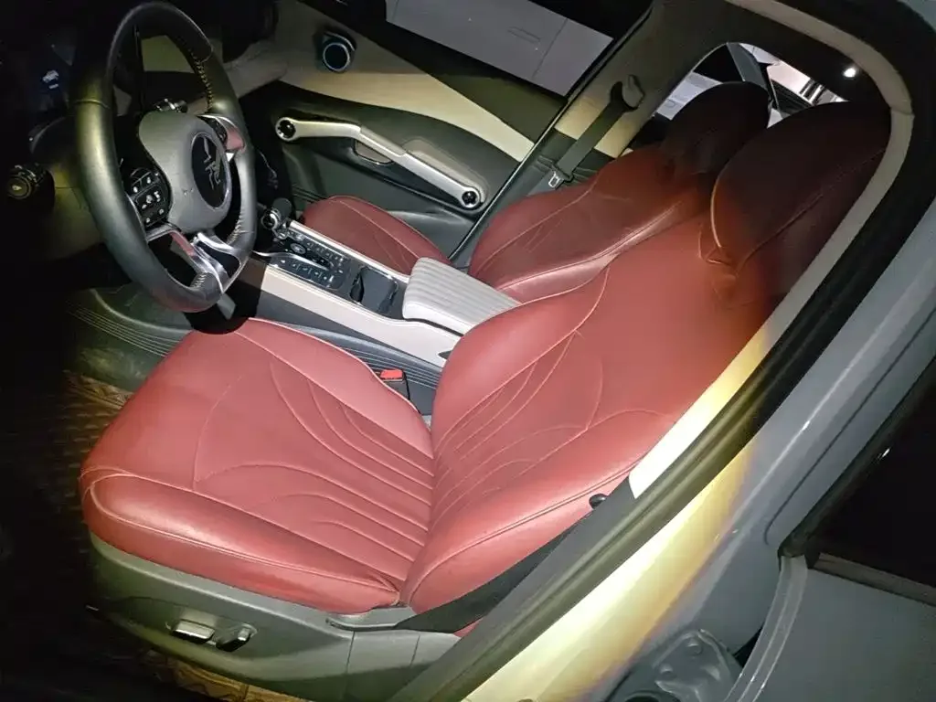 BYD Yuan PLUS 2024 Glory Edition 510KM Advanced — Фото автомобиля 14