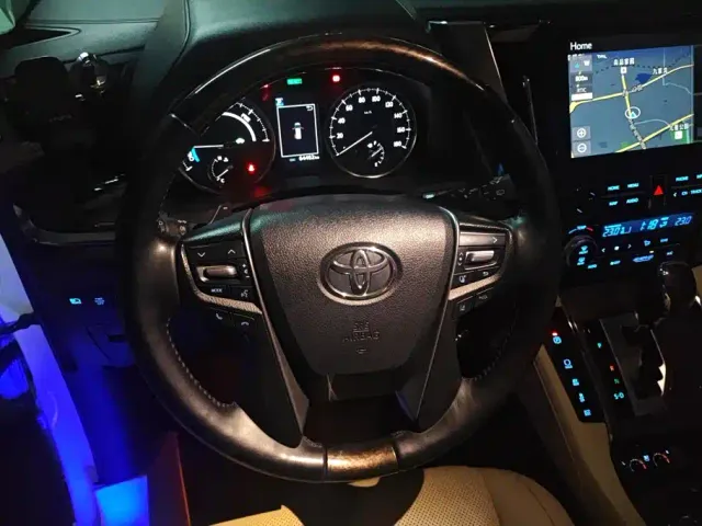 Toyota Alphard — Фото автомобиля 14