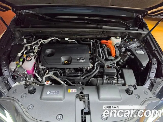 Lexus NX NX450h+ 2nd Gen — Фото автомобиля 6