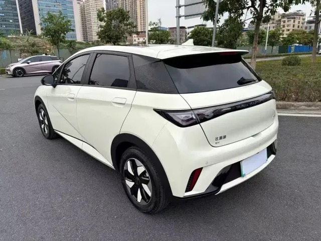 BYD Dolphin — Фото автомобиля 4