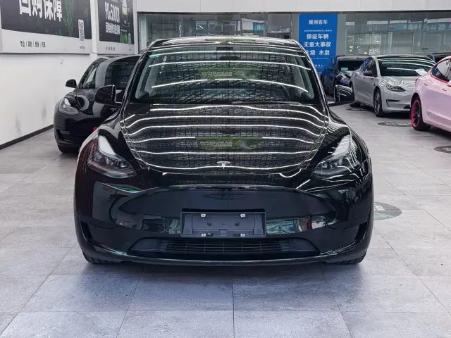 Tesla Model Y — Фото автомобиля 2