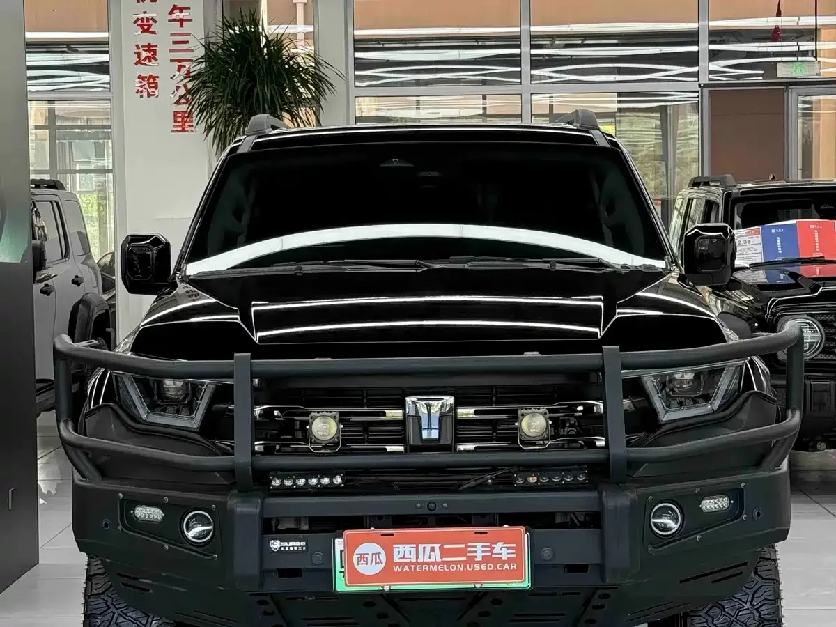 Tank Tank 400 New Energy 2024 Hi4-T Off-Road Edition — Фото автомобиля 2