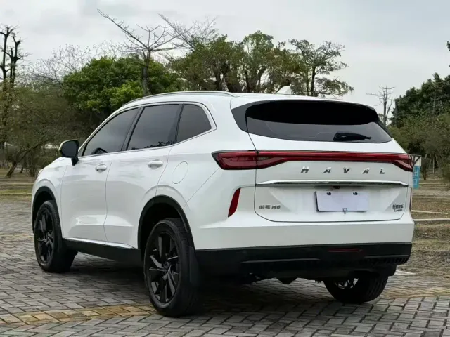 Haval H6 — Фото автомобиля 12