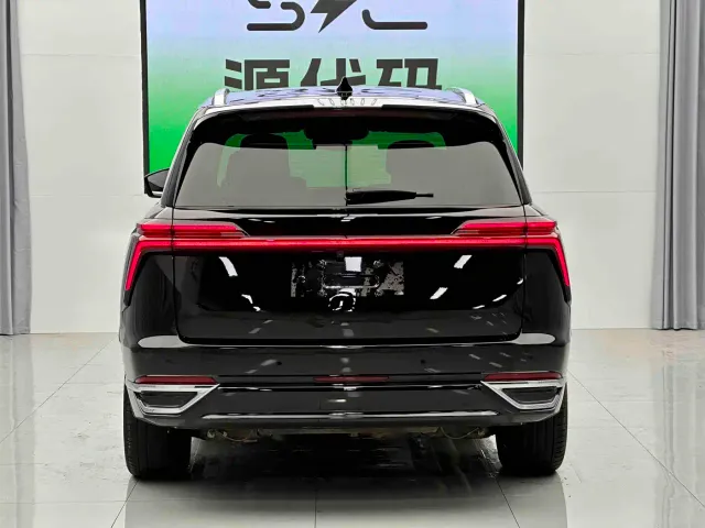 Wey Lanshan — Фото автомобиля 20