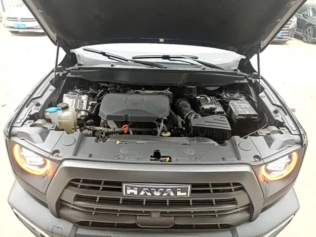 Haval Big Dog — Фото автомобиля 19