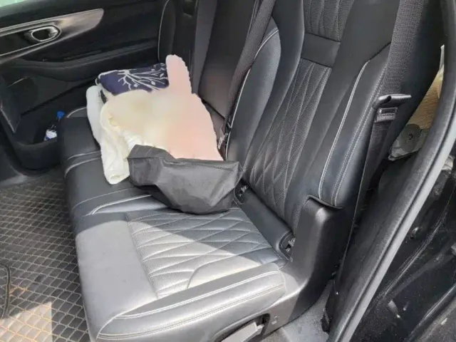 GAC Trumpchi GS8 — Фото автомобиля 13