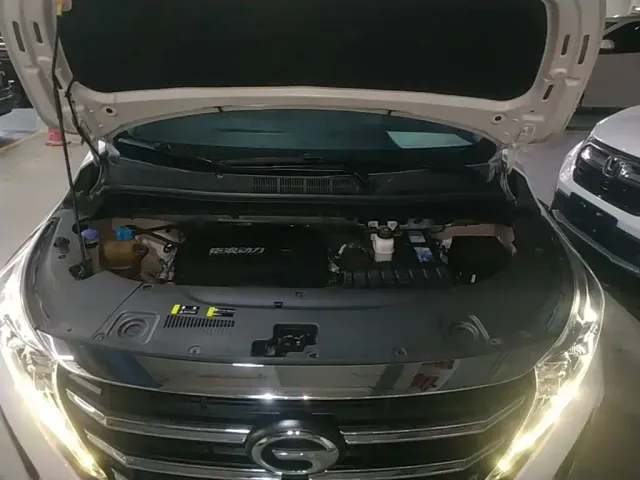 GAC Trumpchi M8 — Фото автомобиля 19