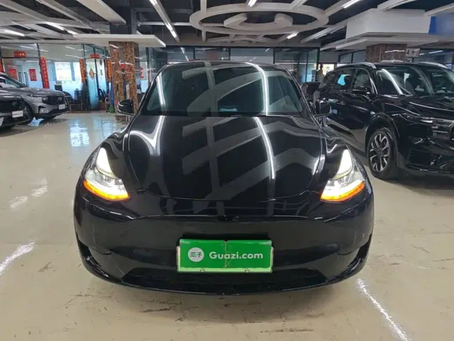 Tesla Model Y — Фото автомобиля 2