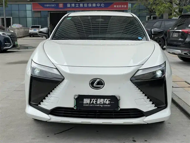 Lexus Lexus RZ 2023 450e 4WD Expedition Edition — Фото автомобиля 2