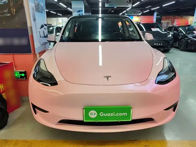Tesla Model Y — Фото автомобиля 2